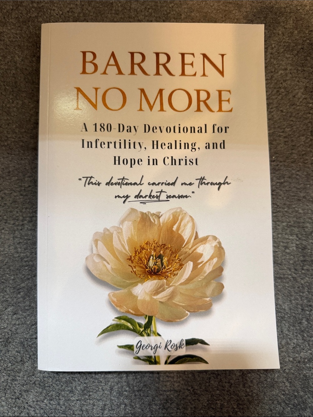 Barren No More Infertility devotional - Cream & Gold cover